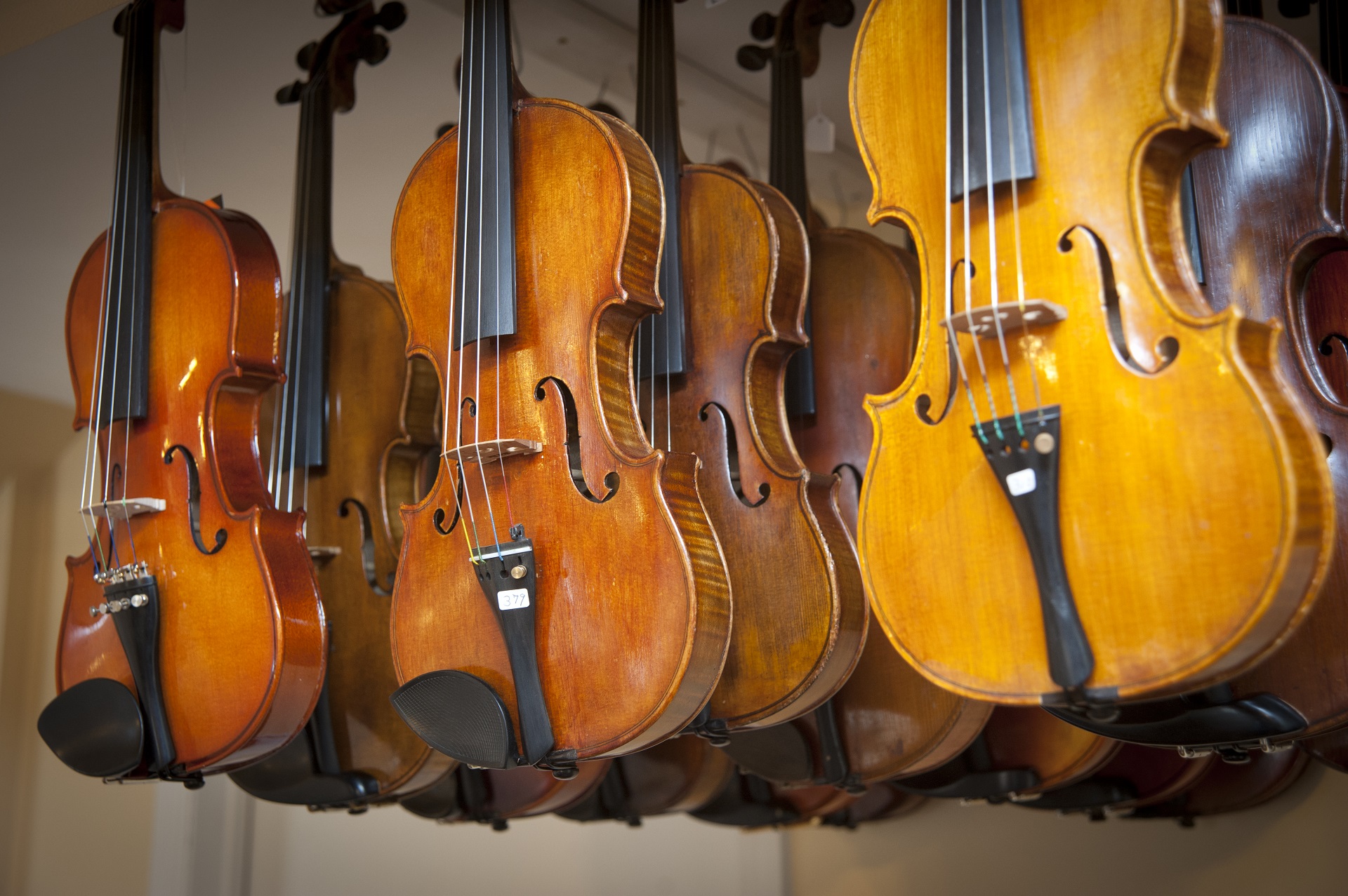 violins